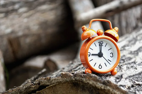 Relógio Alarme Laranja Isolado Tronco Árvore Despertador Definido Horas — Fotografia de Stock