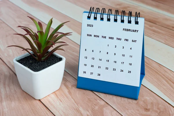 February 2023 Desk Calendar Top Wooden Desk Potted Plant — ストック写真