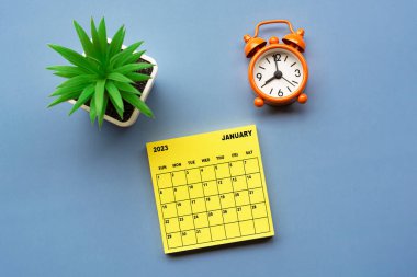 Ocak 2023 'te, üzerinde saksı bitkisi ve alarm saati bulunan Yapışkan Not takvimi saat 8' de mavi arka planda. İş konsepti.