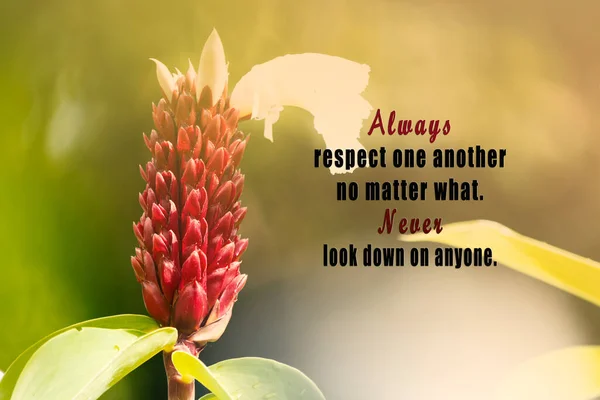 Motivational Quote Fresh Nature Blurred Green Leaf Background Always Respect — 图库照片