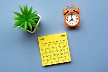 2023 yılının Haziran ayında, üzerinde saksı bitkisi ve alarm saati bulunan Yapışkan Not takvimi saat 8 'de, mavi arka planda. İş konsepti.