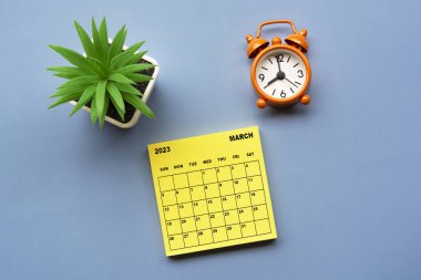 Mart 2023 'te, üzerinde saksı bitkisi ve alarm saati bulunan Yapışkan Not takvimi saat 8' de mavi arka planda. İş konsepti.