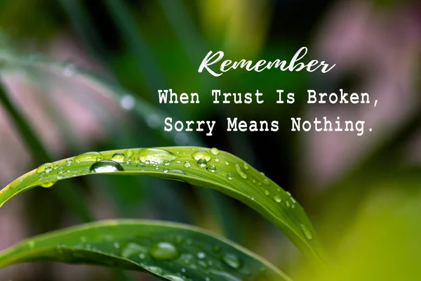 Motivational Quote Image Green Leaf Raindrops Remember Trust Broken Sorry — стоковое фото