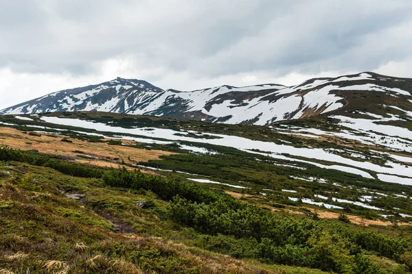 Snow mountain tops, mountain trail and bushesin tops, mountain trail and bushes. High quality photo