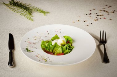 Baharatlı ve yoğurtlu taze sebze salatası. Tabağı masaya servis etmek ve beyaz bir masa örtüsünün üzerine kaşık ve peçeteyle süslemek. Yüksek kalite fotoğraf