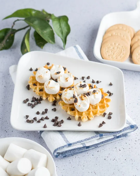 Şekerlemeli Waffle Çikolatalı Cips Bisküvi — Stok fotoğraf