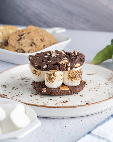 Marshmallows Sendvič Čokoládovými Sušenkami — Stock fotografie