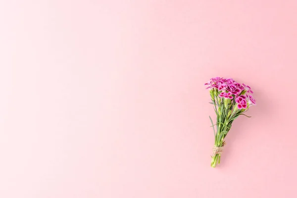 Carnation Flower Bouquet Pink Background Top View — Stock Photo, Image