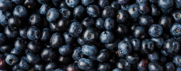 Fresh Blueberries Texture Close Panoramic Banner — Stock Photo, Image