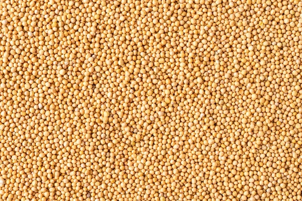 White Mustard Seeds Texture Background Copyspace Close Top View — Stock Photo, Image