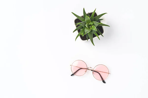 Sunglasses Green Plant Fashion Background — Stock Photo, Image