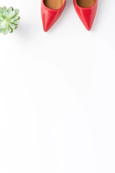 Верхние Кадры Красных Высоких Каблуков Зеленый Цветок Изолированы Белом Фоне — стоковое фото