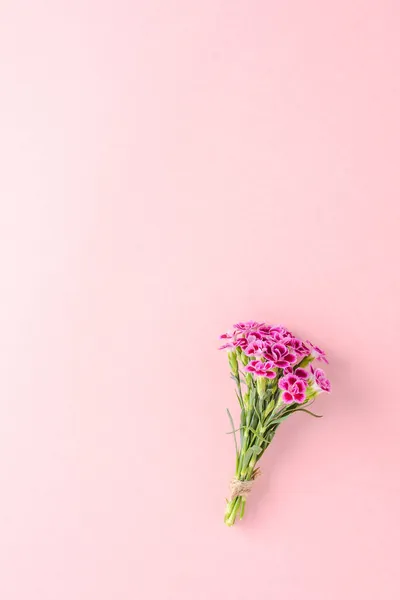 Розовый Букет Гвоздики Заднем Плане Копирайтом — стоковое фото