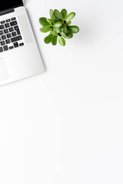 Bilgisayarı ve küçük bitkisi olan minimalist ofis masaüstü bilgisayarı. İş geçmişi