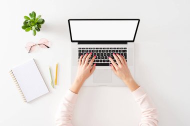 Laptop kullanan bir kadın. Çevrimiçi alışveriş kavramı