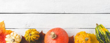 Beyaz ahşap zemin üzerinde renkli sonbahar yaprakları ve balkabaklarının bileşimi. Sonbahar konsepti. Pankart