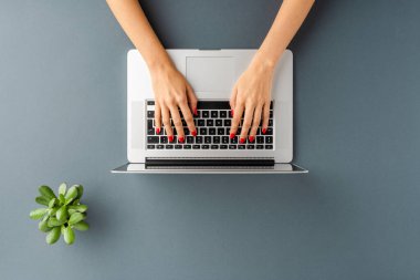 Gri arka planda yeşil çiçekli dizüstü bilgisayar kullanan kadın eller. Ofis masaüstü. Üst görünüm