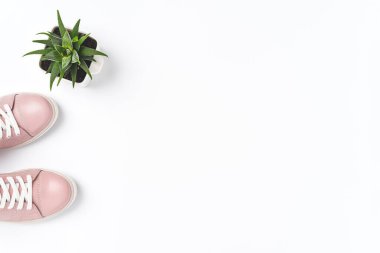 Kopyalama alanı olan kadın kıyafetleri koleksiyonu