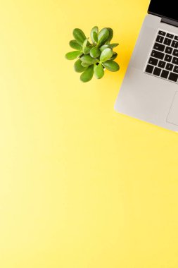 Ofis masaüstü. Sarı zemin üzerinde küçük sulu bir dizüstü bilgisayar ve kopyalama alanı