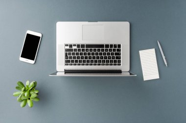 İş aksesuarlarıyla gri arka planda dizüstü bilgisayar. Ofis masaüstü. Üst görünüm