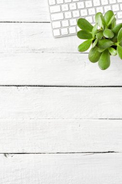 Beyaz ahşap kaplamalı yeşil sulu modern bilgisayar klavyesi. Ofis masaüstü. Üst görünüm