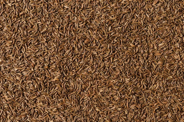 Dried Caraway Texture Background Copyspace Close Top View — Stock Photo, Image