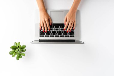 Dizüstü bilgisayarda çalışan kadın elleri beyaz masada yeşil çiçekli. İş geçmişi. Düz yatıyordu