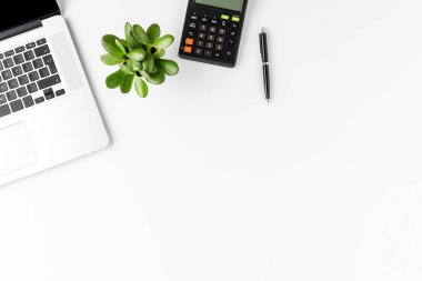 Bilgisayarlı, hesap makineli, kalemli ve beyaz arka planda küçük bitkili finansal konsept. Ofis masaüstü