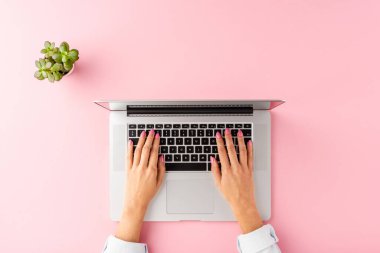 Pembe masada dizüstü bilgisayar kullanan kadınların el resimleri. Ofis masaüstü. Düz yatıyordu