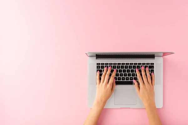 在粉红色的办公室桌面上用笔记本电脑拍摄女性双手的头像 商业背景 平躺在床上 — 图库照片
