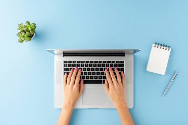 Modern dizüstü bilgisayarda çalışan kadın eller mavi arka planda defter, kalem ve çiçekle birlikte. Ofis masaüstü. Düz yatıyordu