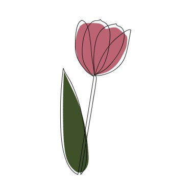 Bir sıra lale. Çiçeksel aralıksız çizgi sanatı. El yapımı botanik çizimi beyaz arka planda izole edilmiş. Modern minimalist sanat. Poster, duvar dekoru için..