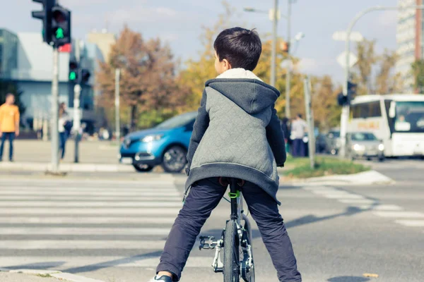 Little boy crossing the street while being on a bicycle. Kid on bicycle waiting for traffic lights on zebra crossing.