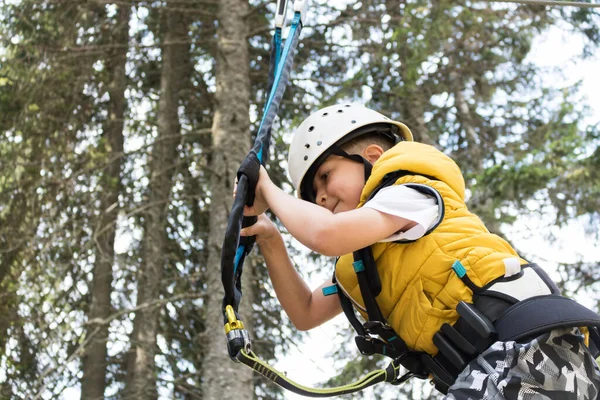 Small boy wearing safety harness while being on canopy tour in adventure park.