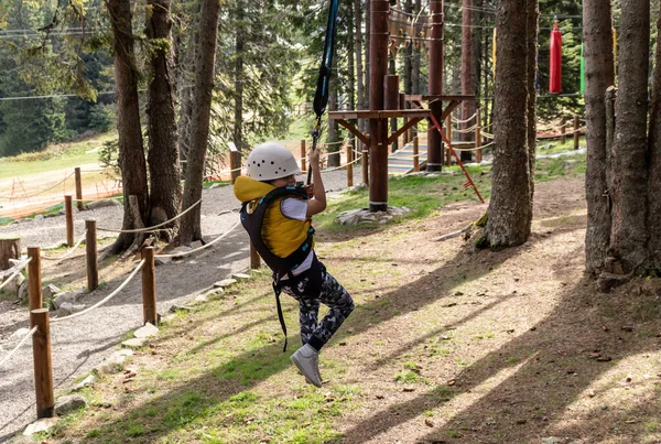 Small Boy Having Fun Canopy Tour While Rappelling Zip Line — Stok fotoğraf
