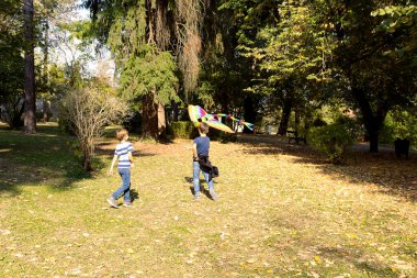 Carefree kids having fun while flying a kite at the park. 