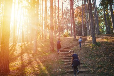 Rear view of children walking through the forest on sunny autumn day. 
