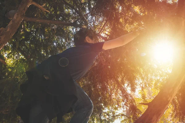 Low Angle View Kid Climbing Tree While Playing Park — Stok fotoğraf