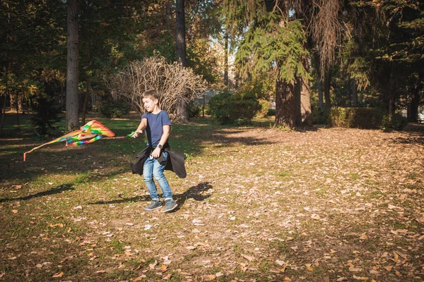Happy Kid Playing Kite Spinning Park — Foto Stock