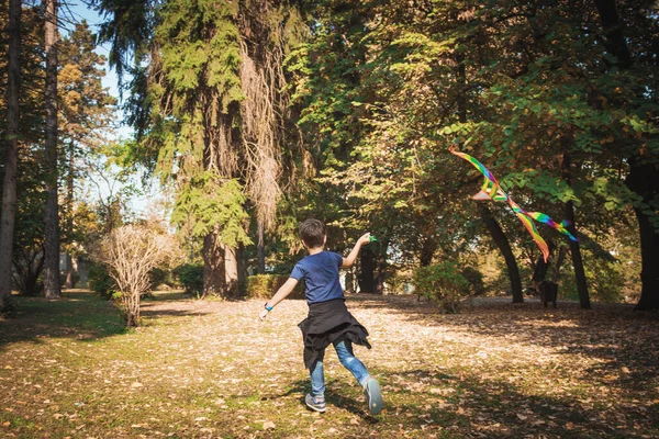凧を飛ばして公園を走る子供の後ろの景色 — ストック写真