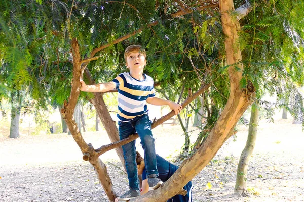 Küçük Çocuk Doğada Bir Gün Geçirirken Ağaca Tırmanıyor — Stok fotoğraf