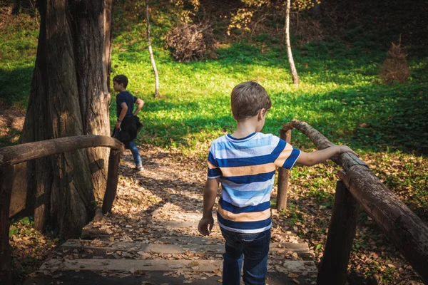 森の中を歩いて木橋を渡る少年の後ろ姿 — ストック写真