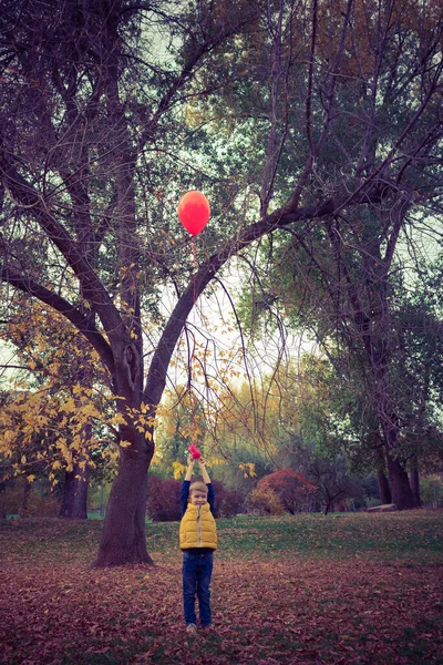 Küçük Çocuk Kırmızı Balonu Havada Tutuyor Sonbahar Mevsiminde Doğada Eğleniyor — Stok fotoğraf