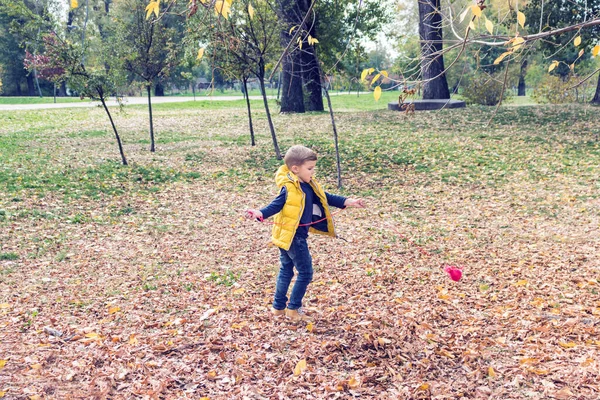 秋の公園で遊ぶ無料の男の子 — ストック写真