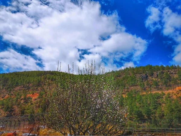 Vista Del Cielo Mezzogiorno Una Collina — Foto Stock