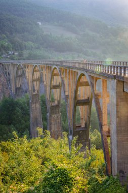 Tara Köprüsü, kuzey Karadağ 'daki Tara Nehri üzerinde beton kemerli bir köprü..
