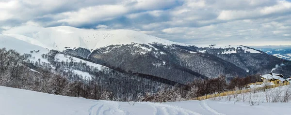 Pylypets Est Une Station Ski Nommée Après Village Pittoresque Pylypets — Photo