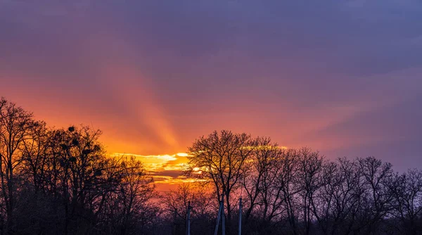 Güneş Gün Batımında Karanlık Gökyüzünde Parlıyor — Stok fotoğraf