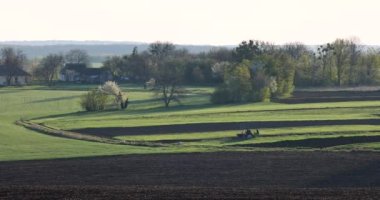 Tractor in the fields processes crops of agricultural products