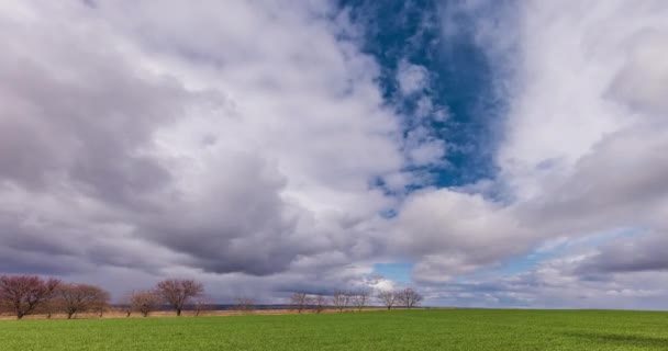 美丽的风景 有树木和多云的天空 — 图库视频影像